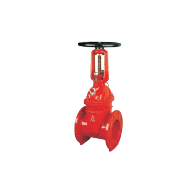 10 9152 Rising Stem Gate Valve