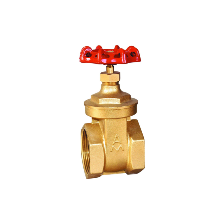 2 101 Brass Gate Valve