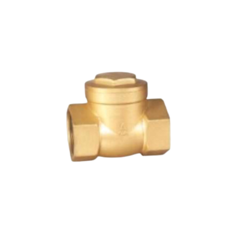 4 401 Brass Check Valve